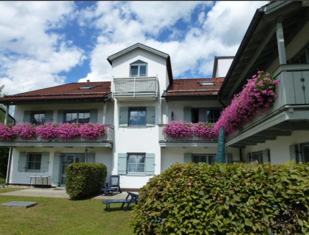 Ferienwohnanlage Brünnstein 54 Apartment